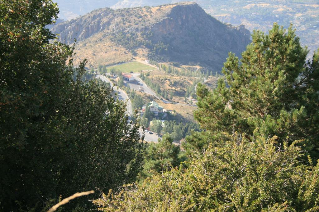 La Alacena De Jose Y Rosi Sierra Nevada Luaran gambar